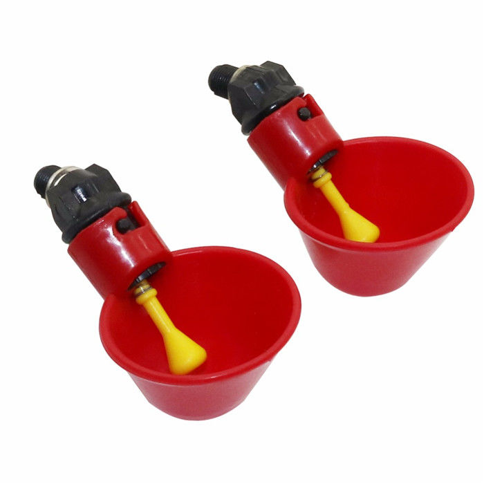 Automatic Quail Cup A Water Poultry Drinker House Accessories
