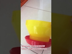 Poultry Feeding Bucket Baby Chick Chicken Feeder from China Factory